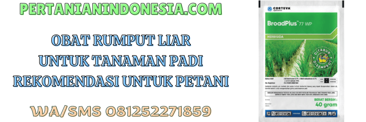 obat,rumput,obat rumput,herbisida,pertanian indonesia